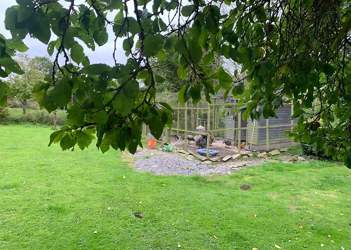 Stunning 2-Bed Cabin In Nantglyn Denbigh